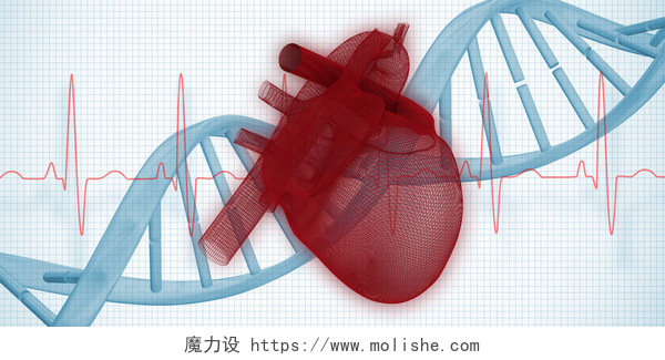 在白色背景下显示的心脏动图模型和蓝色的细胞链组织3d 人心脏反对红色 ecg 线的例证与蓝色螺旋